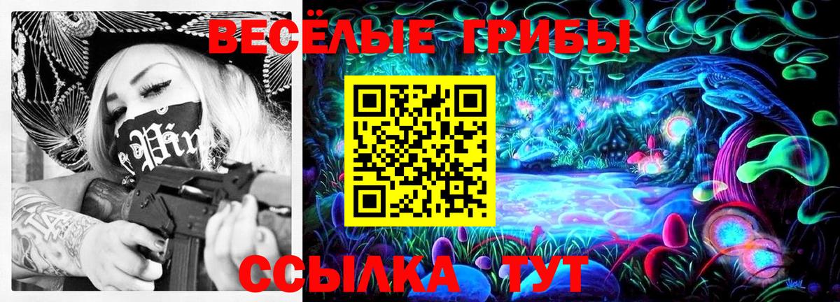 Галлюциногенные грибы мицелий Ростов-на-Дону